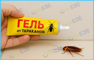 Эффективные ловушки для тараканов - фото